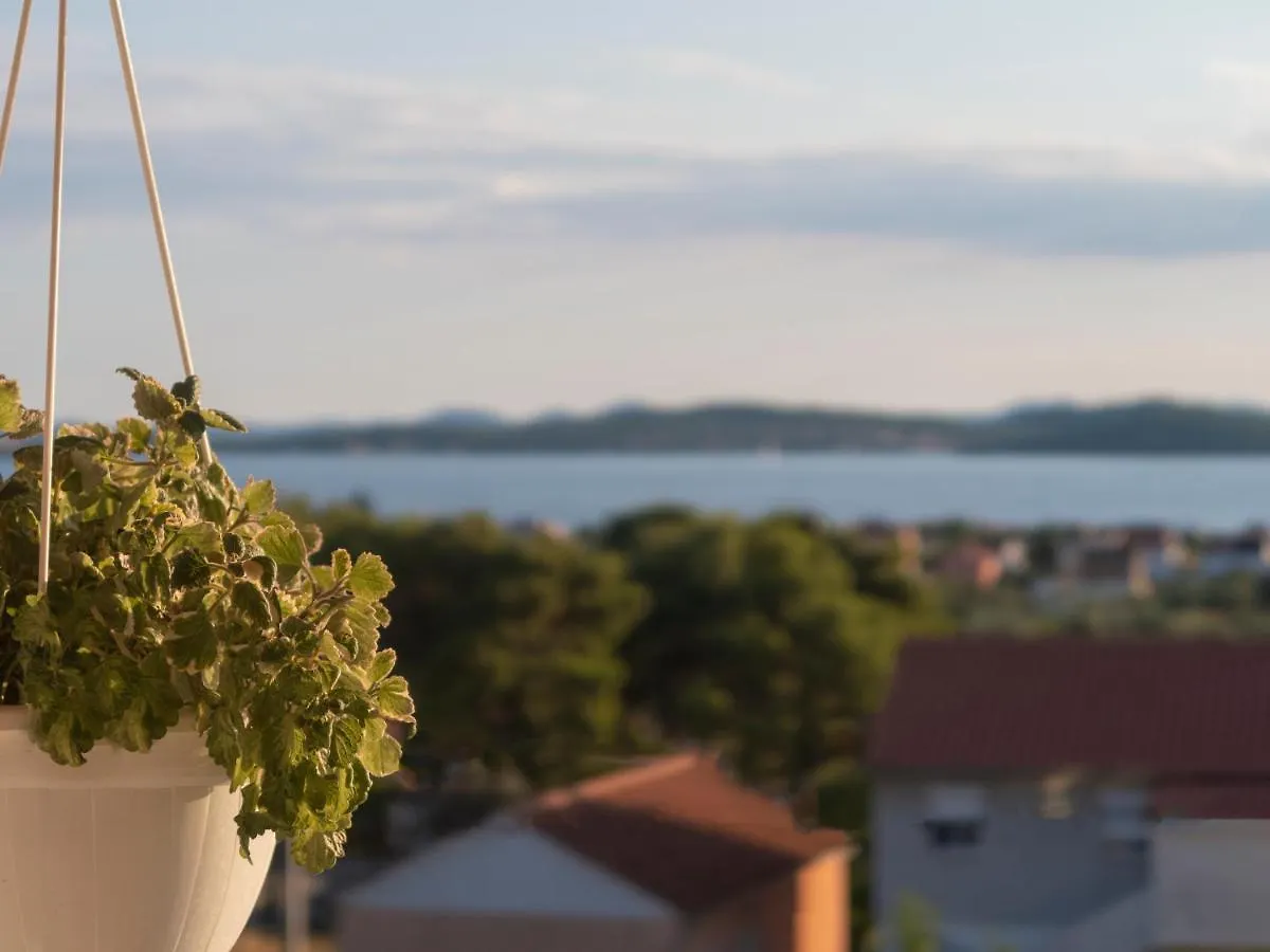 Apartment Apartman Dado Bibinje