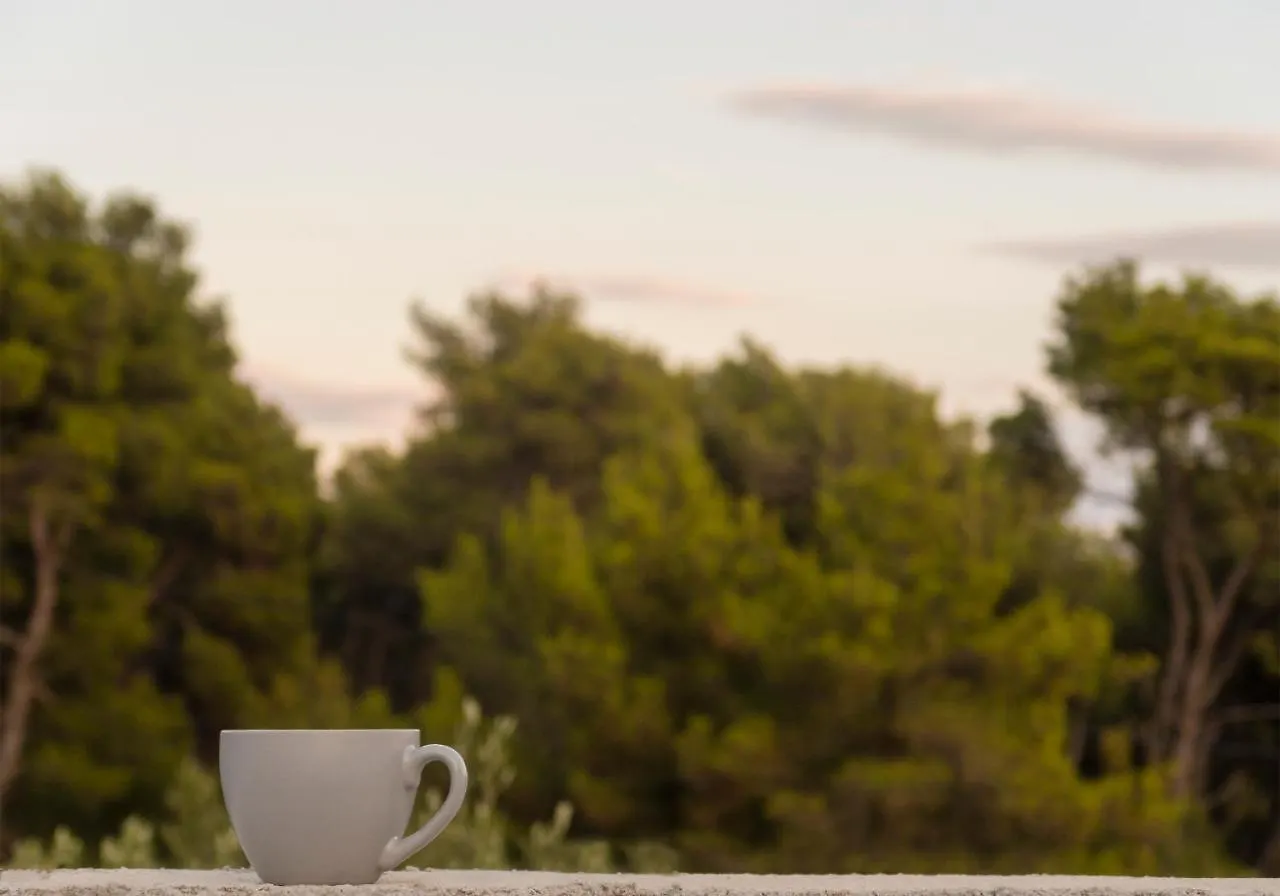 Apartman Dado Bibinje Croatia